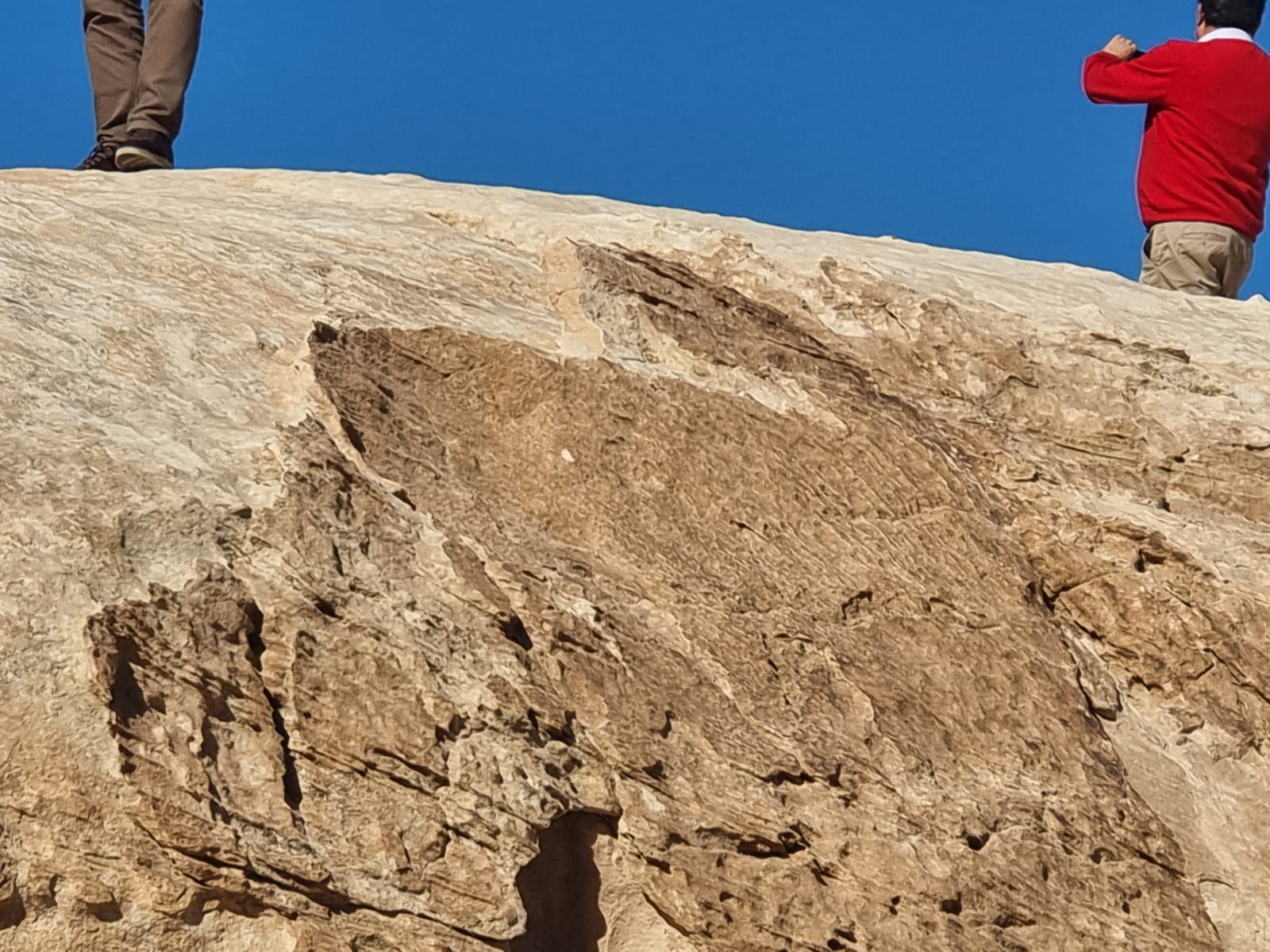 Haifa Mining Facility 4